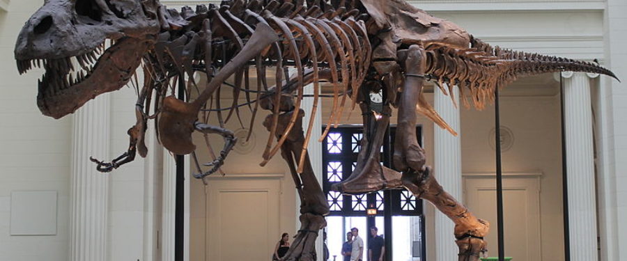 A Predator After All