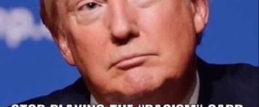 Liberal Race Baiters