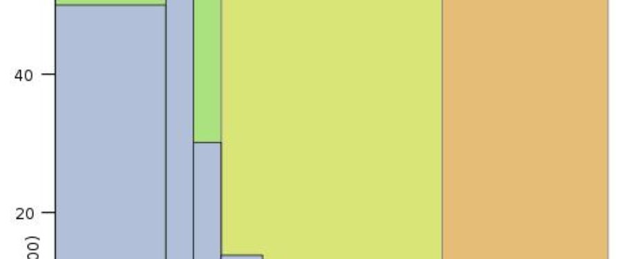 Abortionist Exposed At Bronx Rally