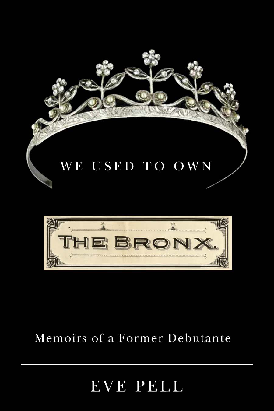 We Used To Own The Bronx by Eve Pell.