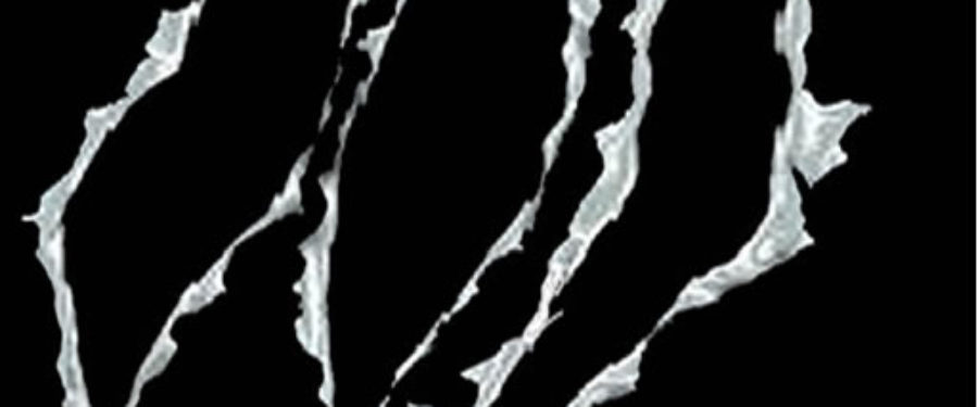 New Rap Songs From Bomb Baby