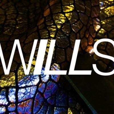 WILLS Unveils Debut Track