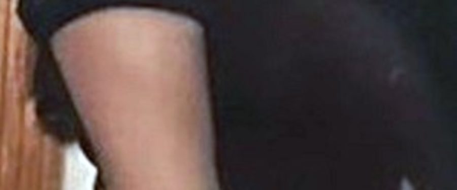 Xochitl Chavez, 16, Missing