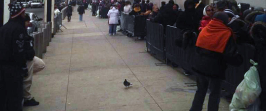 Yankees Hand Out Thanksgiving Food Vouchers