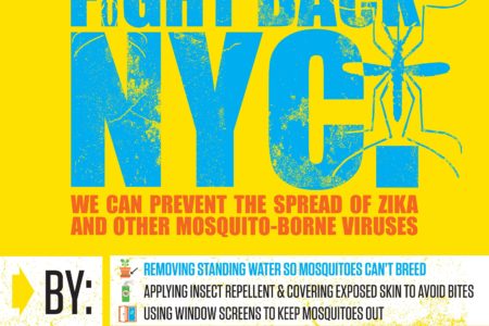Update On The Zika Virus