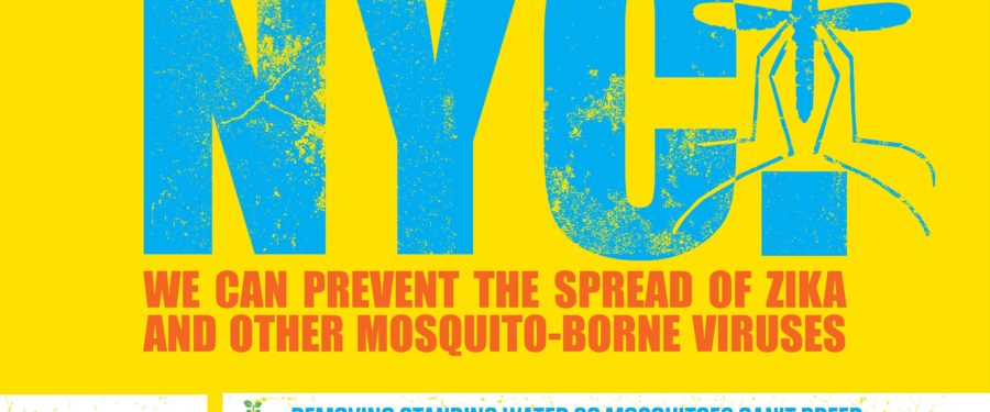 Update On The Zika Virus
