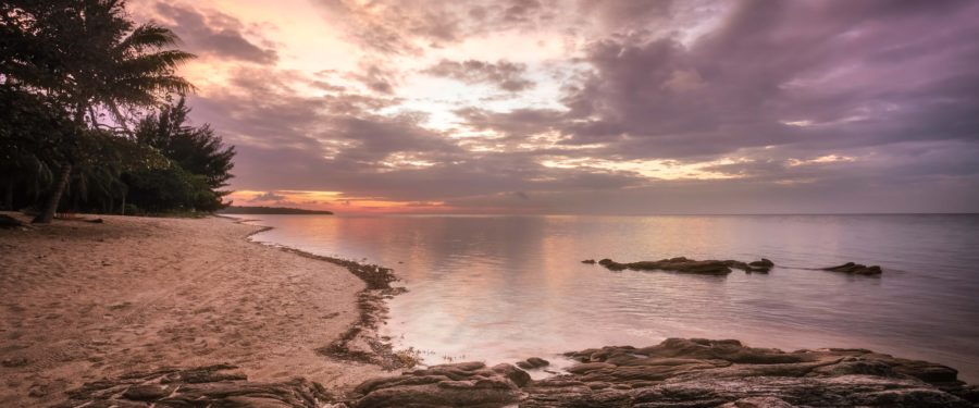 Annual Caribbean Heritage Celebration