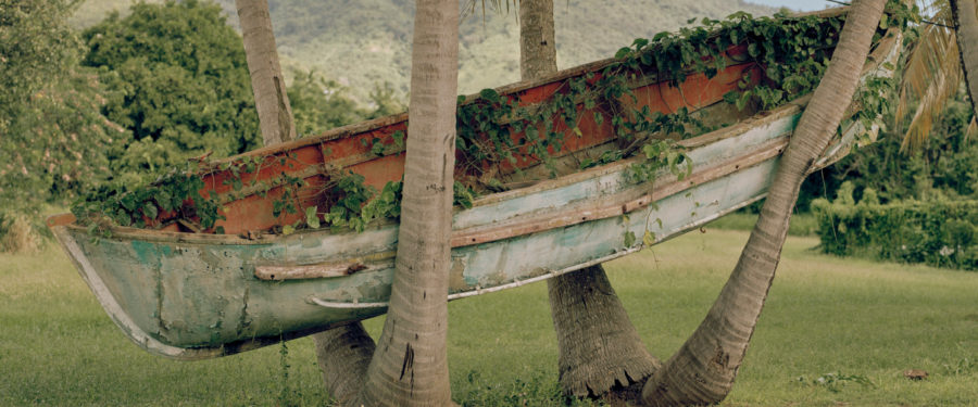 Latin American Foto Festival