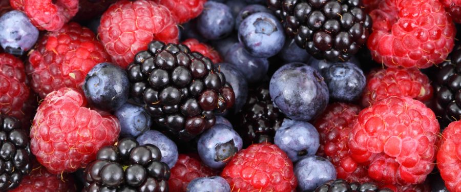 BP Diaz Provides $650K For Regional Food Hub