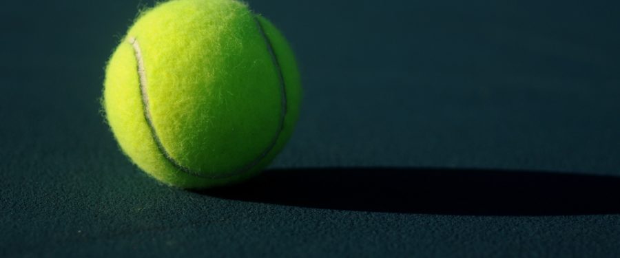 Muchova Advances, Zhang Ousted In Bronx Open