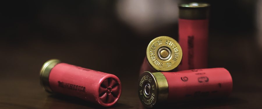 BP Diaz Renews Call For Gun Crime Registry