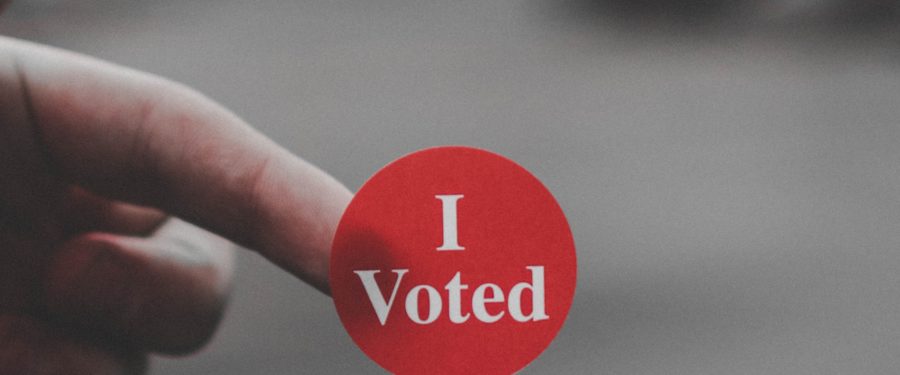 Democratic Primaries In The Bronx