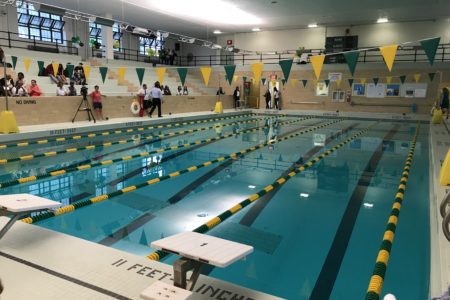 Newly Renovated Pool At Bronx Community College