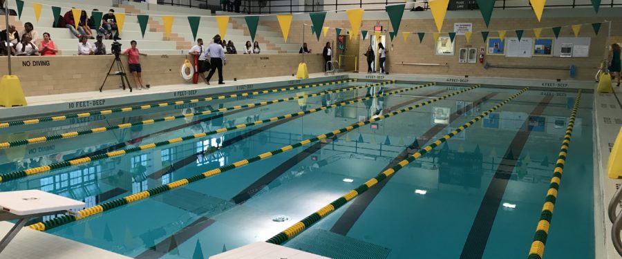Newly Renovated Pool At Bronx Community College