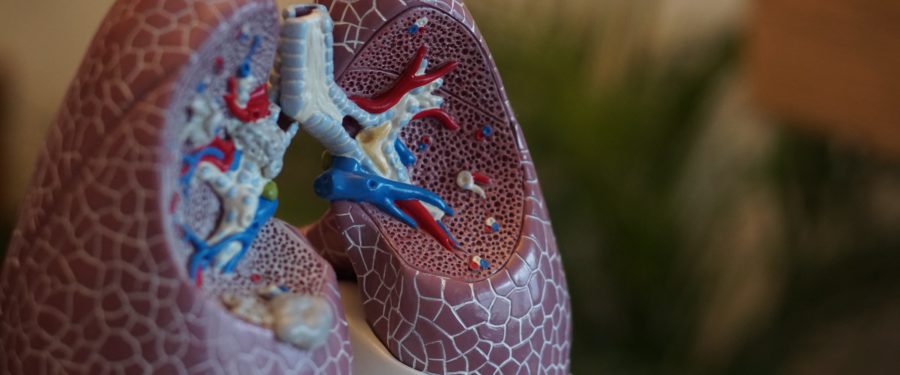 Making Certain Navy Veterans With Mesothelioma Receive Better Compensation