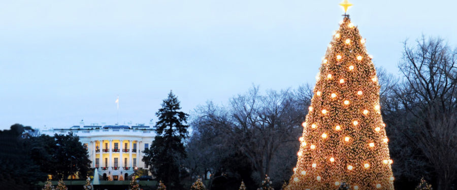 97<sup>th</sup> National Christmas Tree Lighting