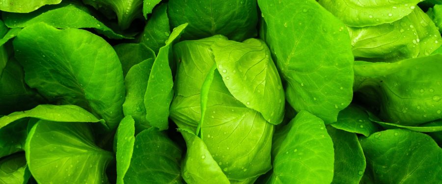 Bronxites Comprise About One-Third Of FreshDirect Employees