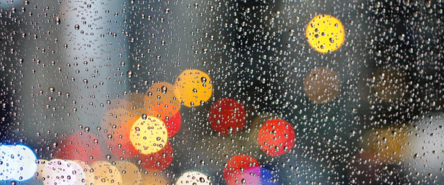 The 2019 Tour de Bronx Has Been Cancelled