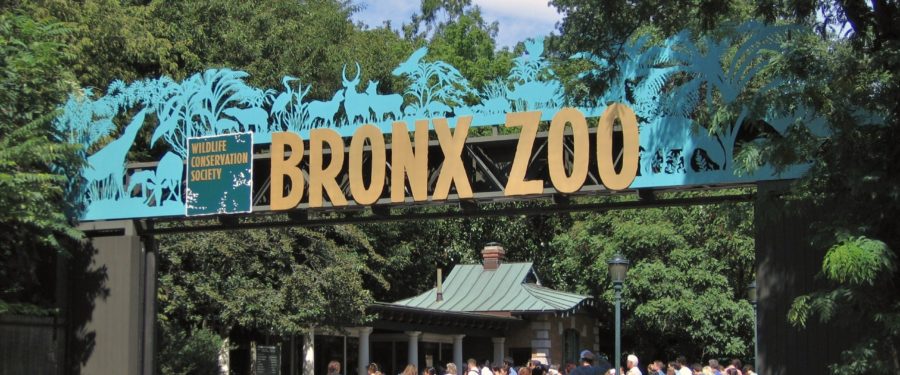 Kicking-Off The Bronx Borough President’s Annual Toy Drive