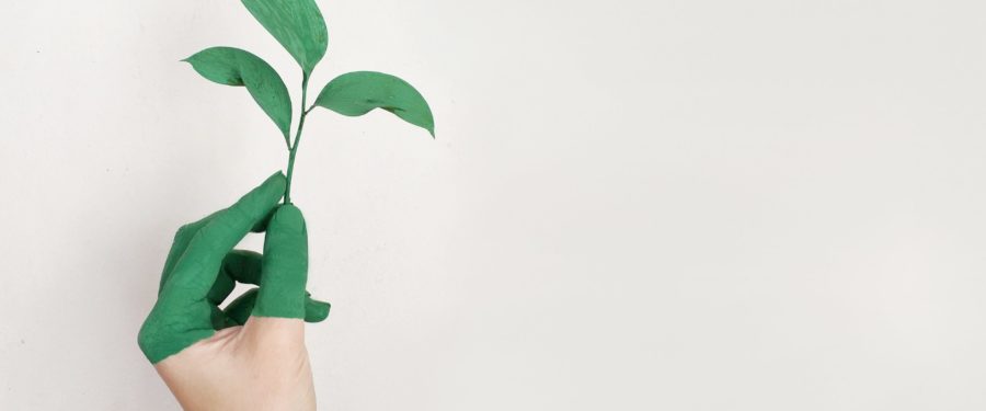 Seeding Our Futures: Art-Making Practices In An Age Of Environmental Extremes