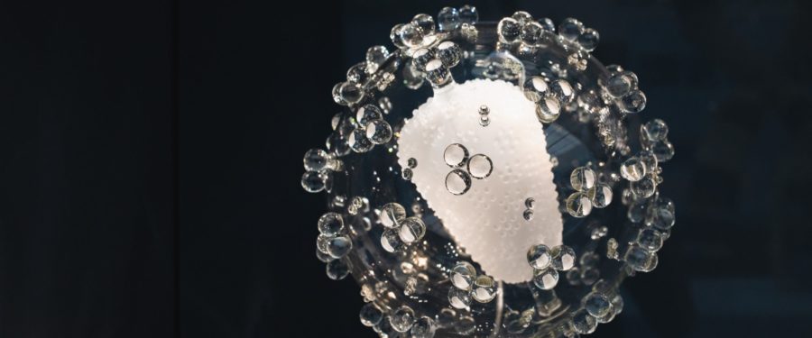 Preparedness For Novel Coronavirus 2019-nCoV