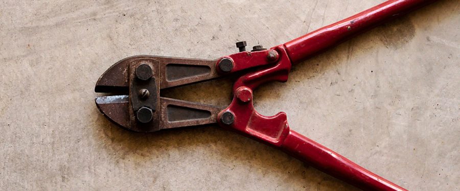 Help Identify A Burglary Suspect