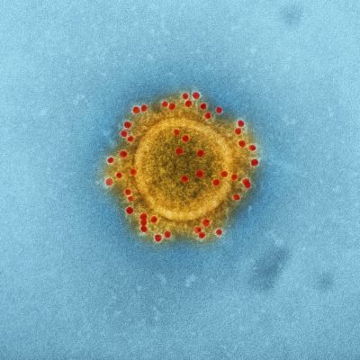 MTA Issues Update On Precautions Against Coronavirus