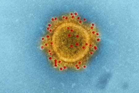 MTA Issues Update On Precautions Against Coronavirus