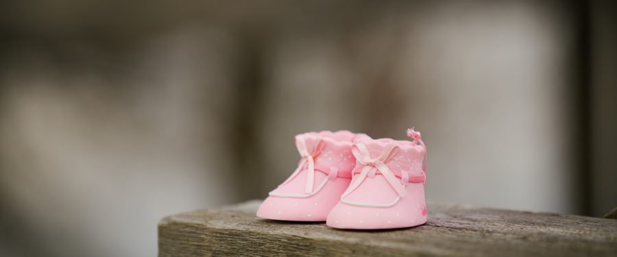 Support For Legalization Of Surrogacy In New York