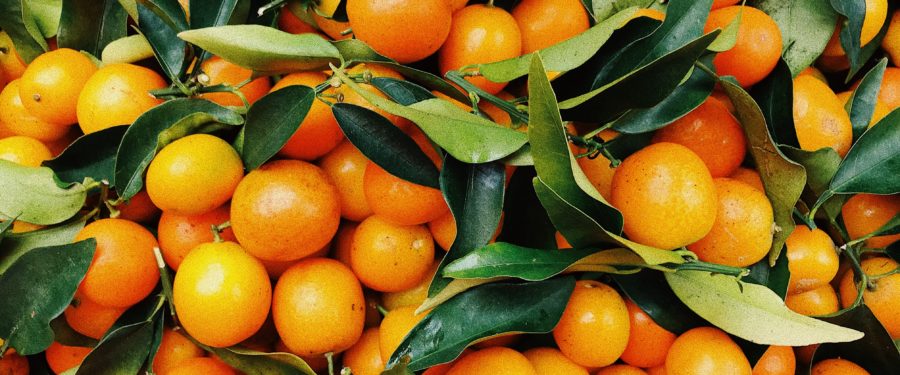 USDA Feeds Kids, Helps Families During CoViD-19 Emergency