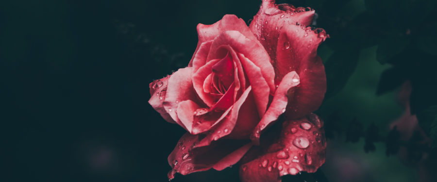 NYPD’s Giacomina Barr-Brown Passes Away