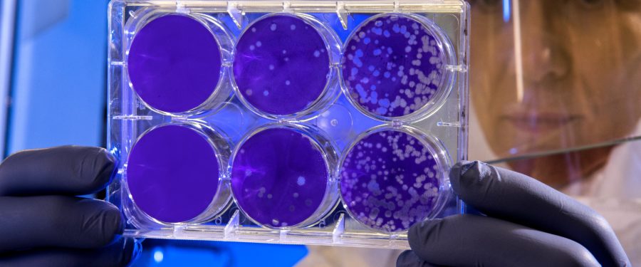 New Coronavirus Case In New York State