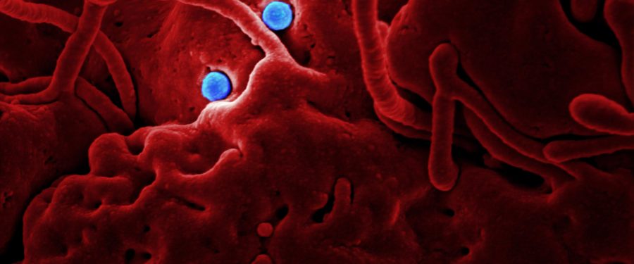 Companies Ordered To Stop Selling  Bogus “Coronavirus-Killing” Devices