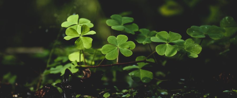 The American Irish Historical Society Building In Manhattan For Sale