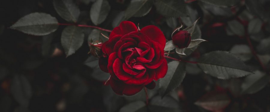 NYPD Detective Jeffrey Scalf, 46, Passes Away