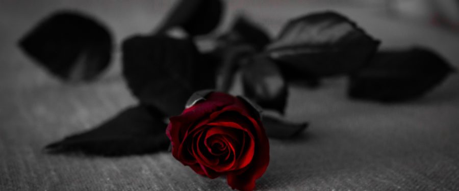 NYPD Auxiliary Police Sergeant Angel Leon Passes Away