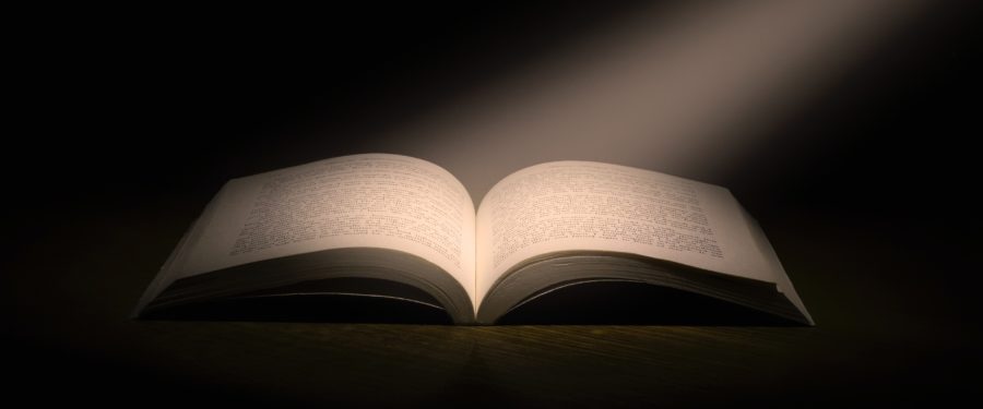 2<sup>nd</sup> Annual The Bronx Is Reading Day