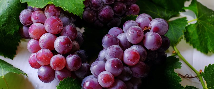 Paving The Way For Meals For Kids To Continue Through Summer