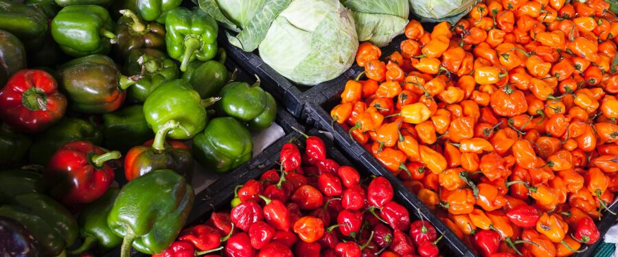 Free Groceries & Face Masks Distribution