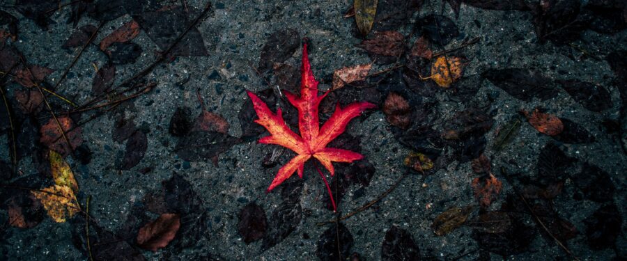 Urgent Need For Blood Donors