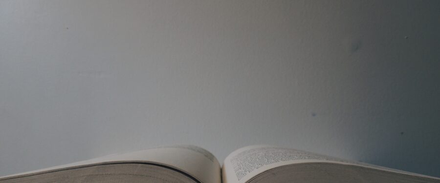 Help One Book One Bronx Fight For Our Community