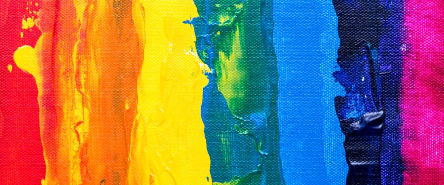 New York City Foster Care LGBTQAI+ Youth Survey Findings