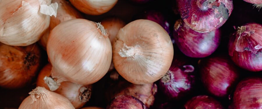 Local Bodega Saves Mott Haven Community Refrigerator