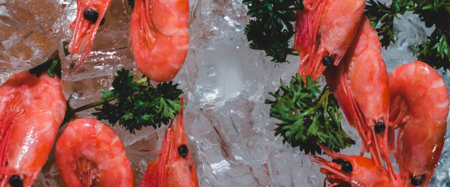 10<sup>th</sup> Annual “Savor The Bronx” Restaurant Week