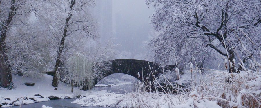 Partnerships For Parks Celebrates Its 25<sup>th</sup> Anniversary