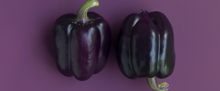 Hunts Point Produce Market Workers’ Union Schedules A Strike