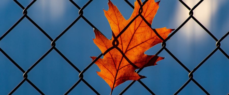 Humane Alternatives To Long-Term Solitary Confinement Act Signed Into Law