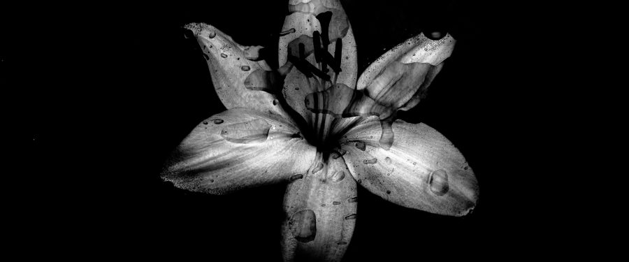 3 Ways To Pay For Unexpected Funeral & Burial Costs