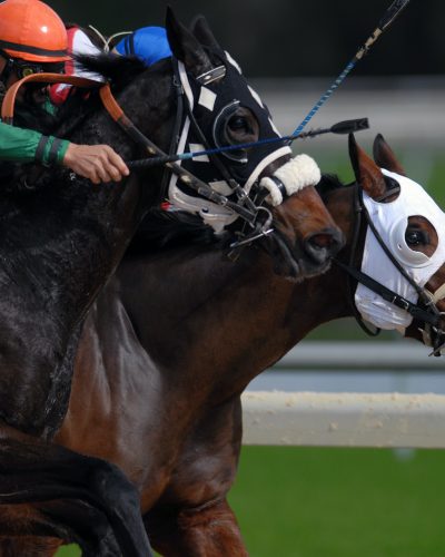 The Bronx Daily | Bronx.com