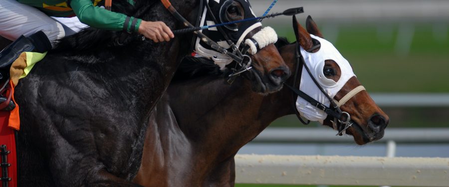 Saratoga 2021 Summer Meet: NYRA Puts Out Purse Increases